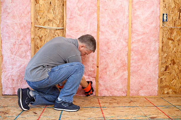 Professional Insulation Contractor in La Crescent, MN