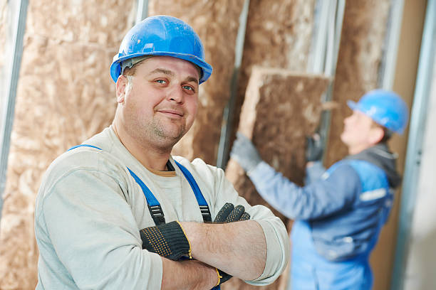 Best Energy Efficiency Insulation in La Crescent, MN